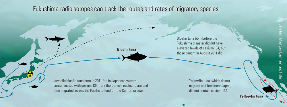 migration